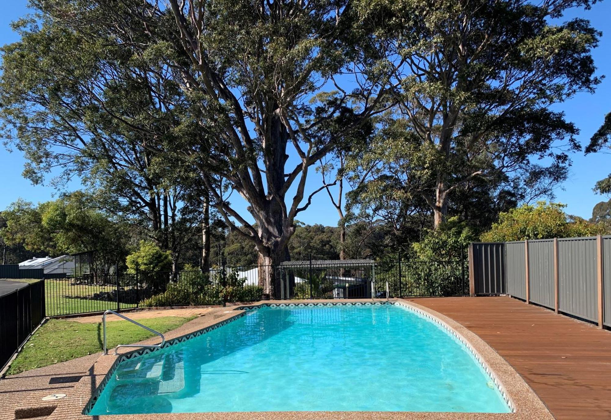 The Tree Motel Narooma Dış mekan fotoğraf